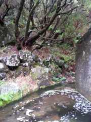 foto38