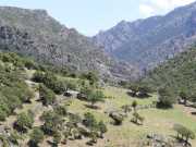 08_Corse_2016-16
