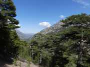 08_Corse_2016-21