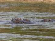 P1020718