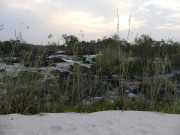 P1020754