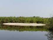 P1020860