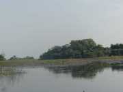 P1030052