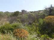 17_Sardaigne_2016-23