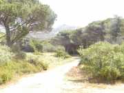 17_Sardaigne_2016-26