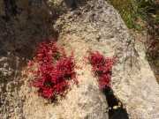17_Sardaigne_2016-32