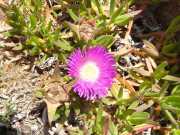 17_Sardaigne_2016-65