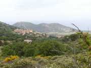 10_Corse_2016-26