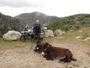 13_Corse_2016-33