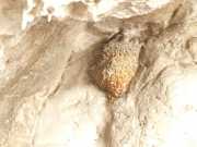19_Sardaigne-50