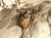 19_Sardaigne-51