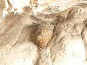 19_Sardaigne-52