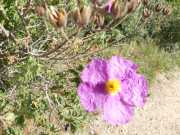 19_Sardaigne-69