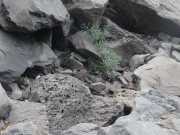 20_Sardaigne-24