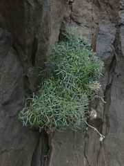 20_Sardaigne-25