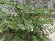 20_Sardaigne-26