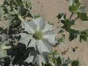 20_Sardaigne-3