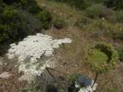 20_Sardaigne-5