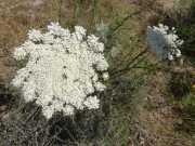 20_Sardaigne-6