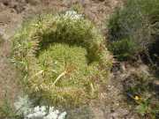 20_Sardaigne-7