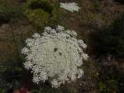 20_Sardaigne-8