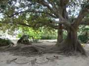 22_Sardaigne-53