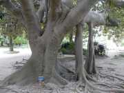22_Sardaigne-55