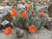 22_Sardaigne-59