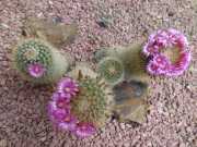 22_Sardaigne-61