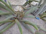 22_Sardaigne-62