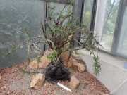 22_Sardaigne-63