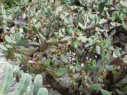 22_Sardaigne-65
