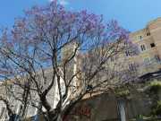 22_Sardaigne-8