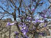22_Sardaigne-9
