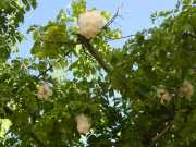 24_Sicile-35