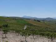 24_Sicile-59