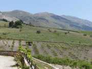24_Sicile-60