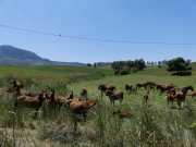 24_Sicile-68