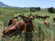 24_Sicile-69