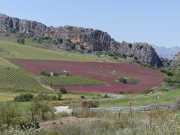 24_Sicile-70