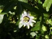 26_Sicile-29