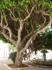 27_Sicile-44