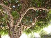 27_Sicile-47