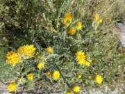 27_Sicile-82