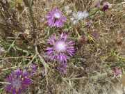 29_Sicile-28