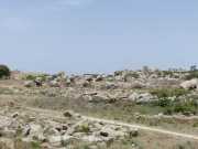 29_Sicile-8