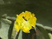 30_Sicile-23