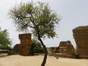 30_Sicile-40