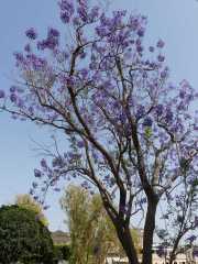 32_Sicile-21