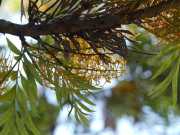 35_Sicile-53